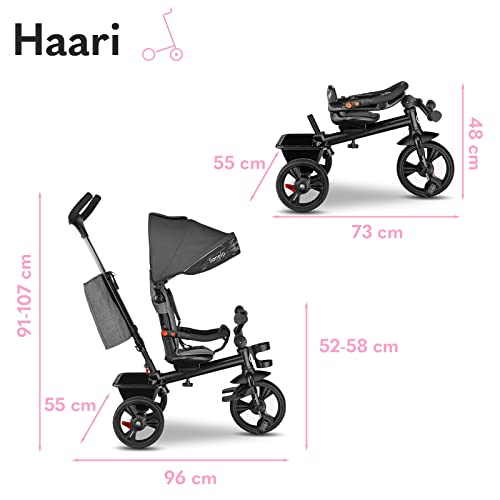 Lionelo Haari 2in1 Dreirad mit Schubstange – Blau